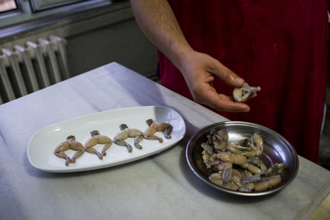 "Kurbağacı Savaş"ın ekmek kavgası