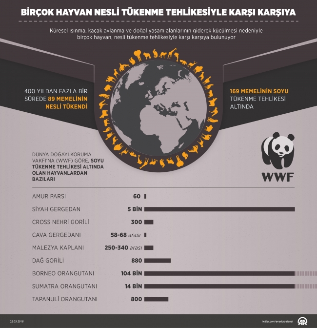 Birçok hayvan, nesli tükenme tehlikesiyle karşı karşıya