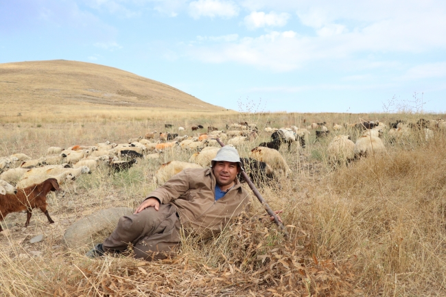 Hem belediye başkanlığı yapıyor hem çobanlık
