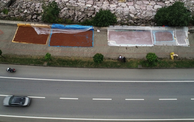 Karadeniz'in kaldırımları fındıkla renklendi