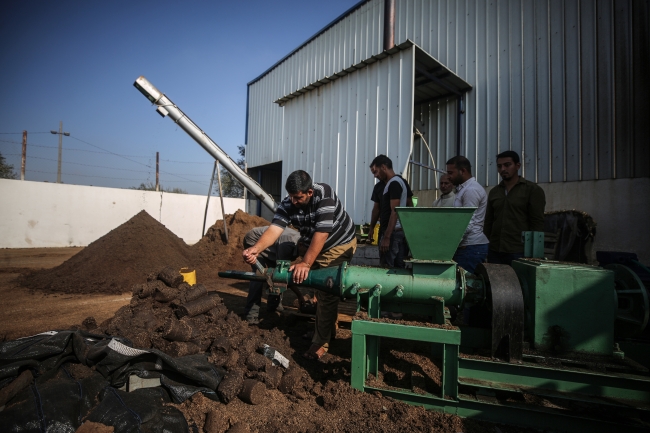 Gazze'de zeytin çekirdeğinden çevre dostu yakıt üretiliyor