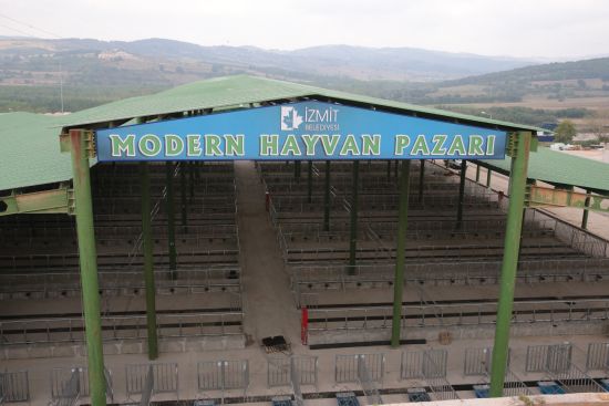 İstanbullular için İzmit'te alternatif kurbanlık pazarı