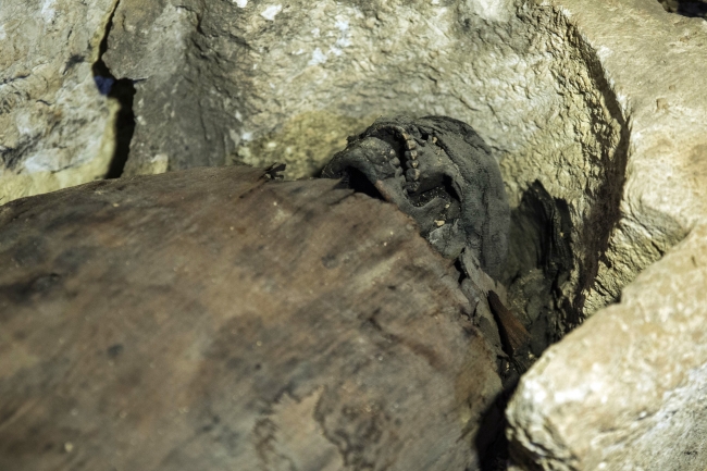 Mısır'da 40 mumya bulundu