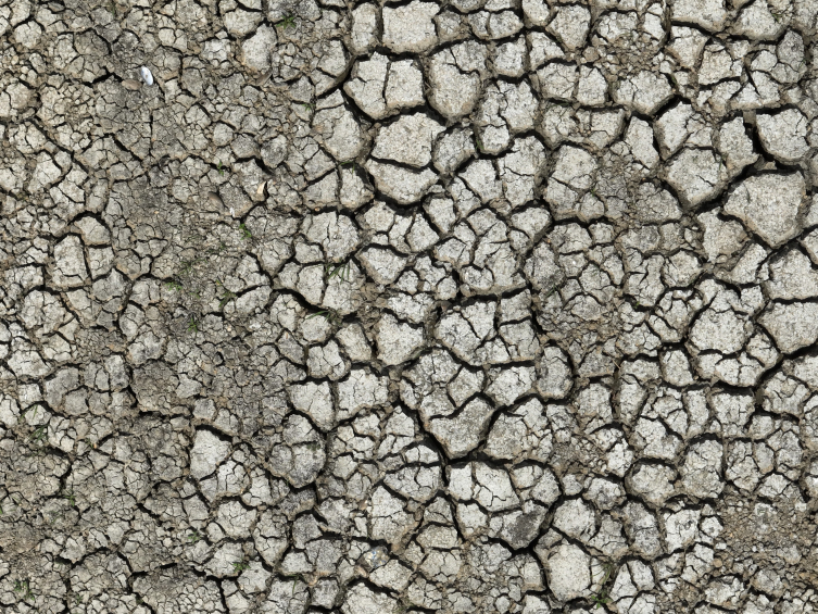 İstanbul barajlarında korkutan seviye