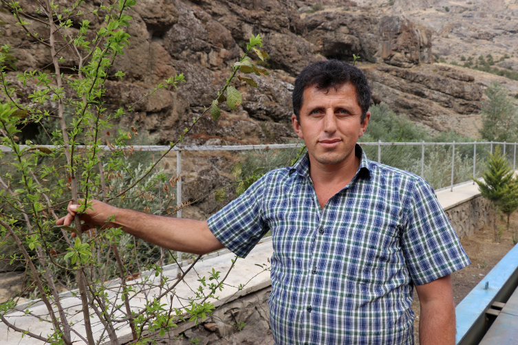 Eylül ayının ortasında erik ağacı çiçek açtı