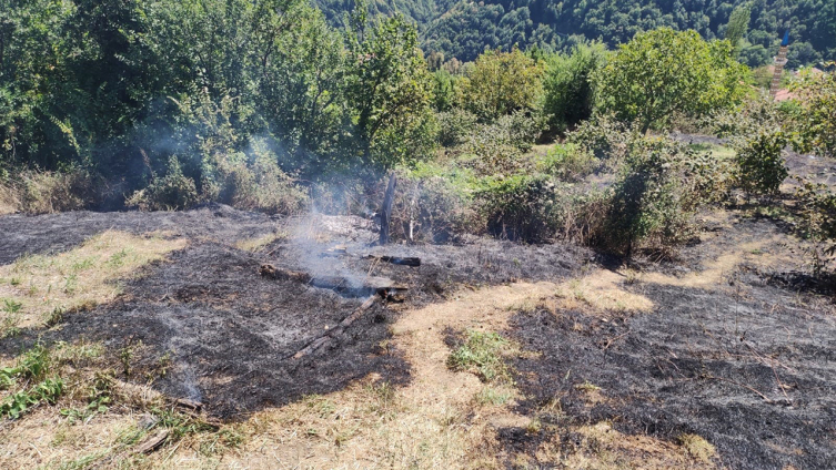 Kastamonu'da anız yangını büyümeden söndürüldü