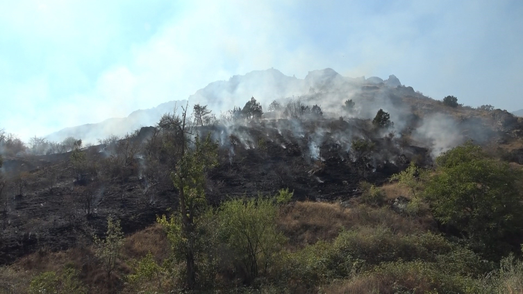 Çöpleri yakmak isterken 2 hektarlık alan küle döndü
