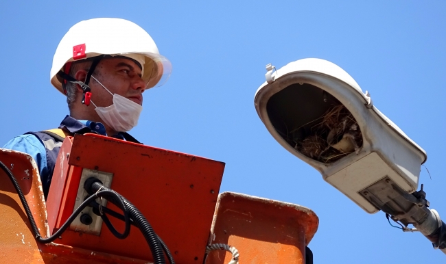 Arıza için gittiler, kuş yuvasıyla karşılaştılar
