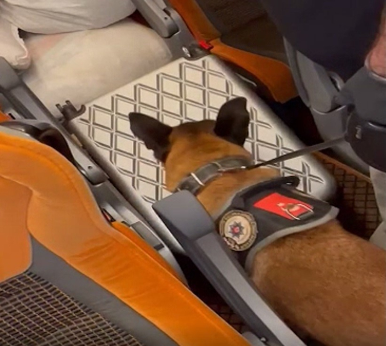 Otobüsteki yolcunun valizinden 12 kilogram uyuşturucu çıktı