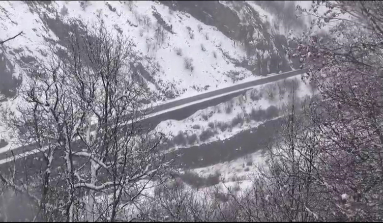 Tunceli'de iki mevsim aynı anda: Bir yanı kara kış diğer yanında çiçek açıyor