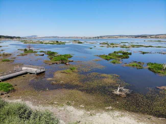 Ladik Gölü'nde kara göründü