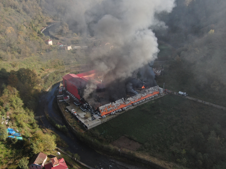 Giresun'da balık işleme fabrikasında yangın