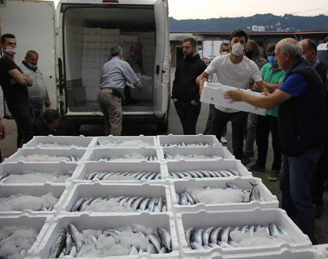 Rize'de tekneler kasalar dolusu palamutla döndü