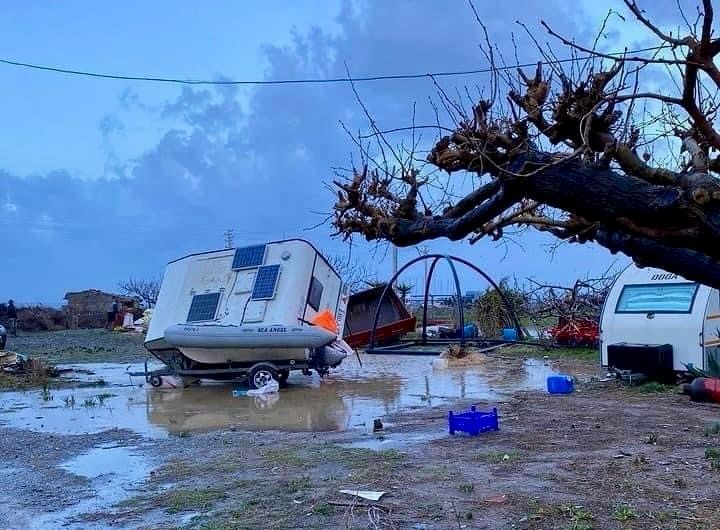 İzmir'de hortum ağaçları devirdi