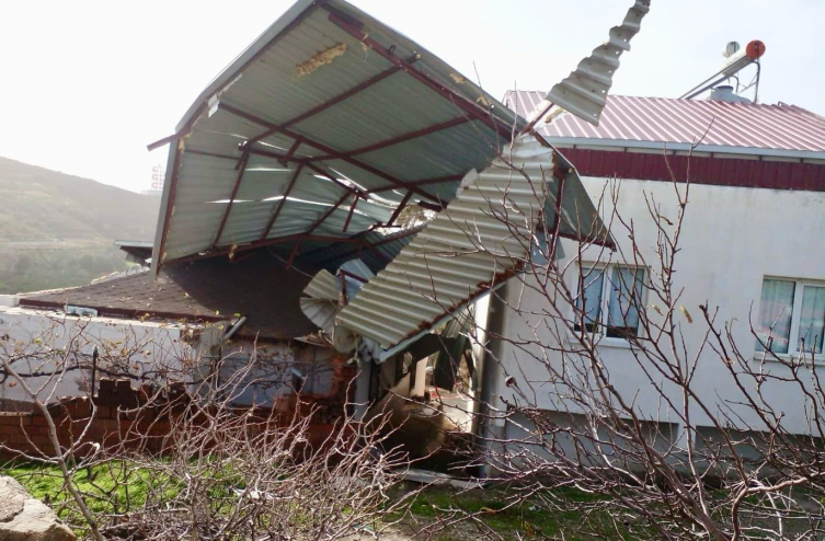 İzmir'de hortum ağaçları devirdi
