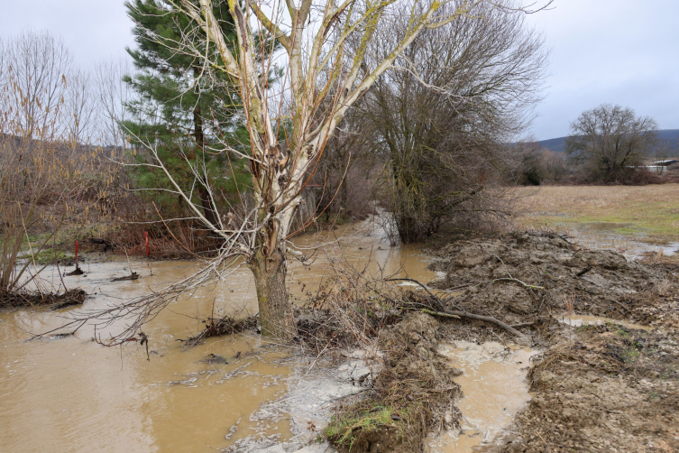 Bilecik'te dere taştı, birçok tarım arazisi ve iki ev su altında