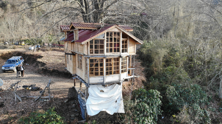 150 yıllık ağacın gövdesine ev yaptı