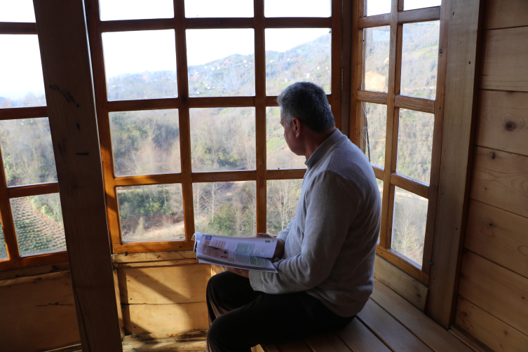 150 yıllık ağacın gövdesine ev yaptı