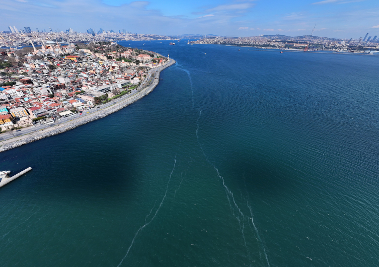 Marmara Denizi’nde denizanası istilası