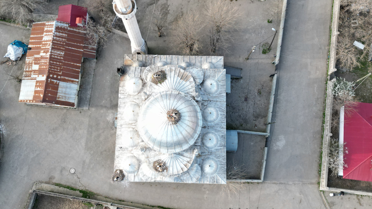 Leylekler 10 yıldır aynı camiinin kubbesinde yuva kuruyor