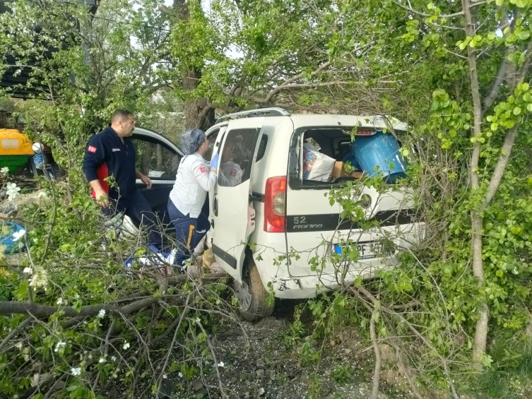 Tokat'ta ağaca çarpan hafif ticari araçtaki 3 kişi yaralandı