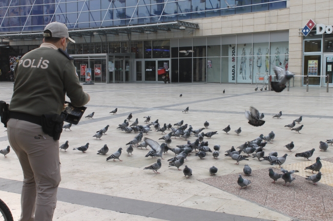 Hayvan Durum İzleme (HAYDİ) ekipleri