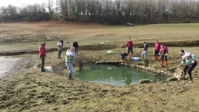 Kuruyan barajdaki balıkları kurtarmak için zamanla yarıştılar
