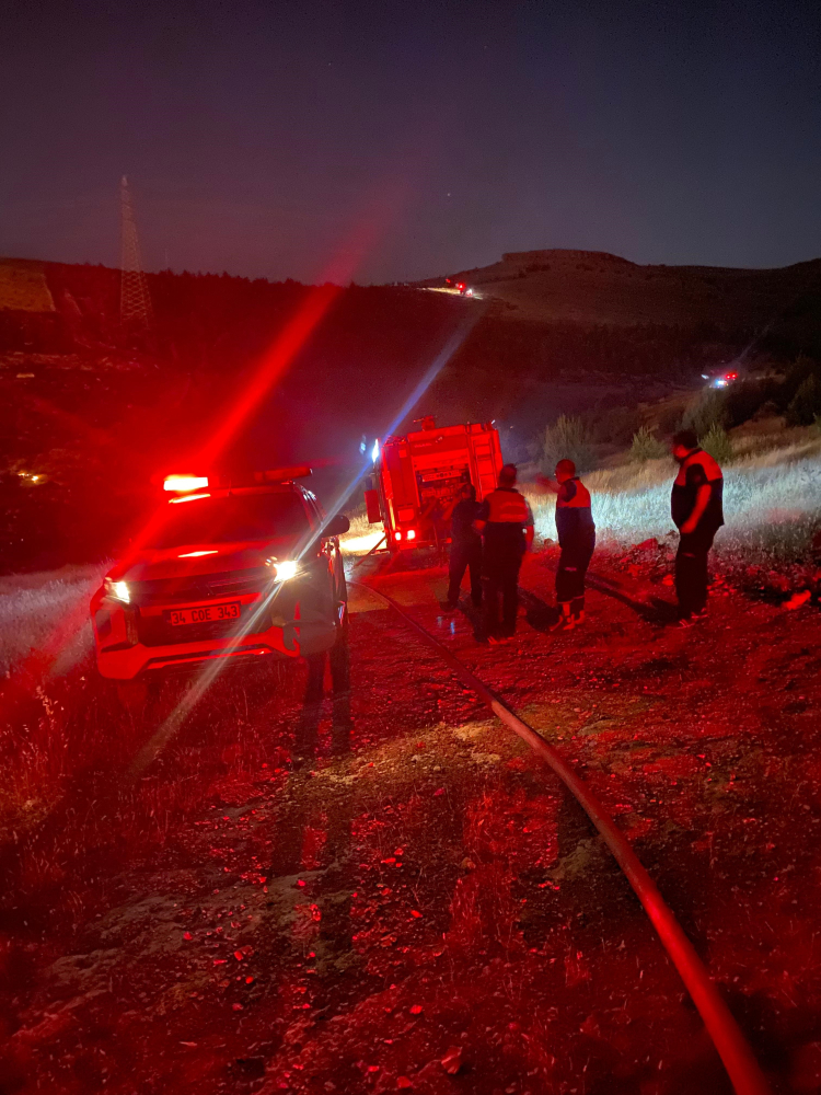 Şanlıurfa'da orman yangını