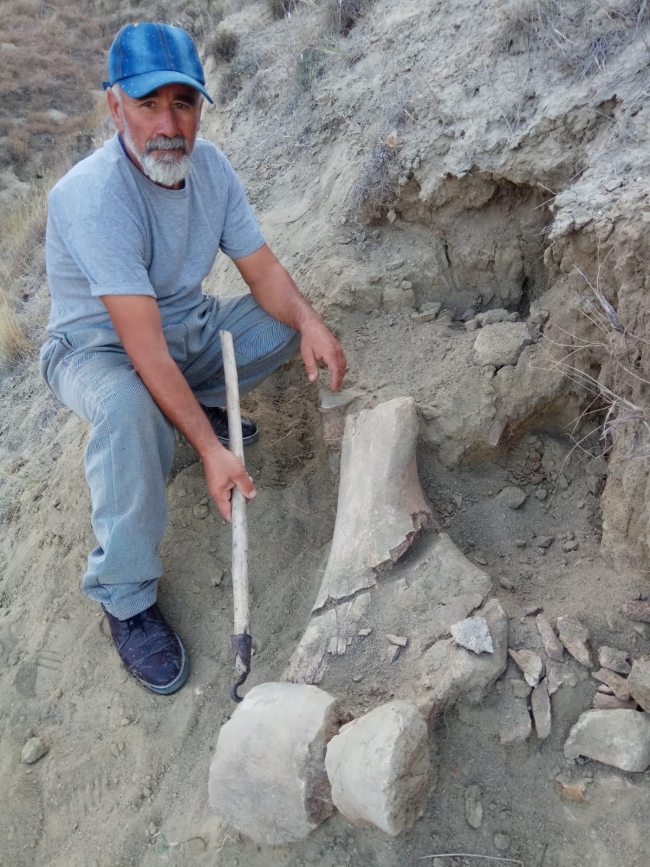 Amasya’da köylülerin bulduğu fosil heyecan yarattı