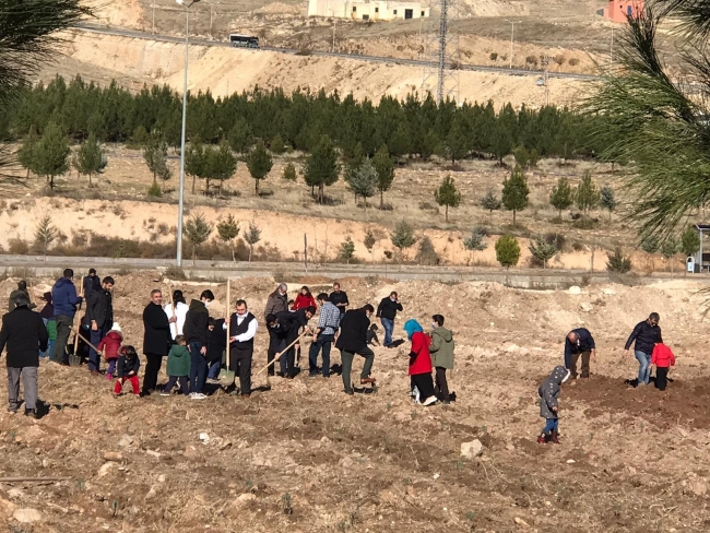 Koronavirüsle mücadelede hayatını kaybeden sağlıkçılar için lavanta bahçesi