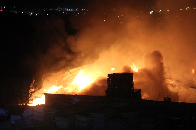 Kocaeli'de palet fabrikası küle döndü