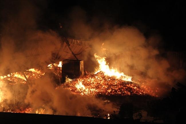 Kocaeli'de palet fabrikası küle döndü