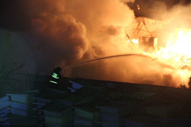 Kocaeli'de palet fabrikası küle döndü