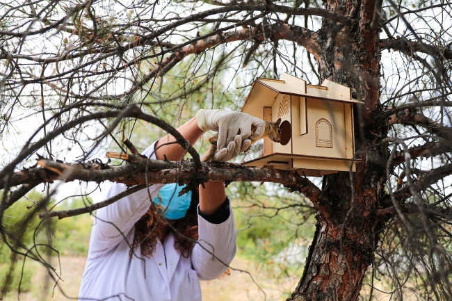 Ölmek üzereyken bulunan yavru sincaplar hayata tutundu