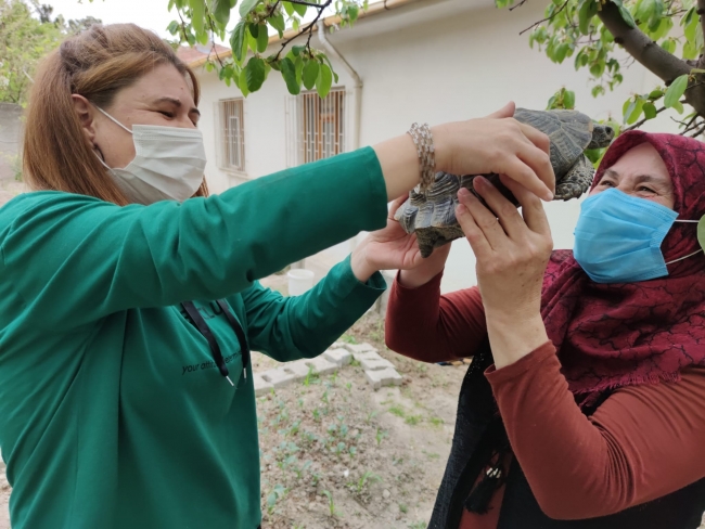 15 yıl önce sahiplendiği kaplumbağaya evladı gibi bakıyor