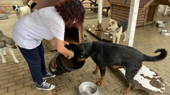 Dolandırıcılar bu kez hayvanseverleri hedef aldı