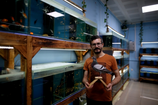 Yıllardır gözü gibi baktığı güvercini ölünce dondurma kararı aldı