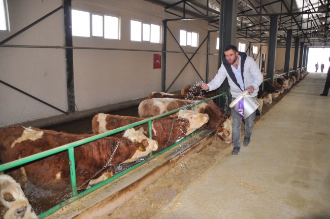 Devlet desteğiyle Muş'ta 3 milyon liralık tesis kurdu