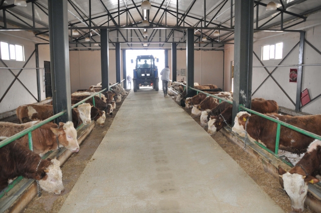 Devlet desteğiyle Muş'ta 3 milyon liralık tesis kurdu