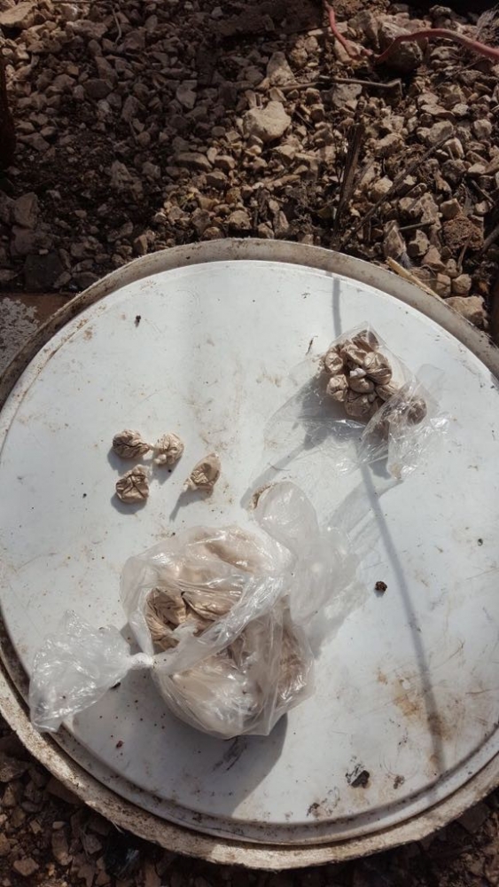 Adana'da uyuşturucu operasyonu