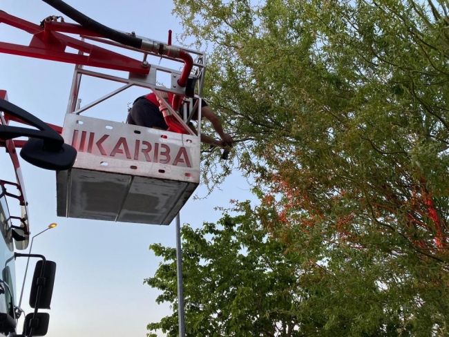 Boynuna maske dolanan kargaya itfaiyeden yardım eli