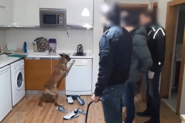 8 ilde İzmir merkezli uyuşturucu operasyonu