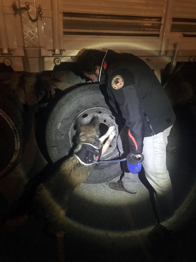 Adana'da 55 milyon liralık uyuşturucu operasyonu