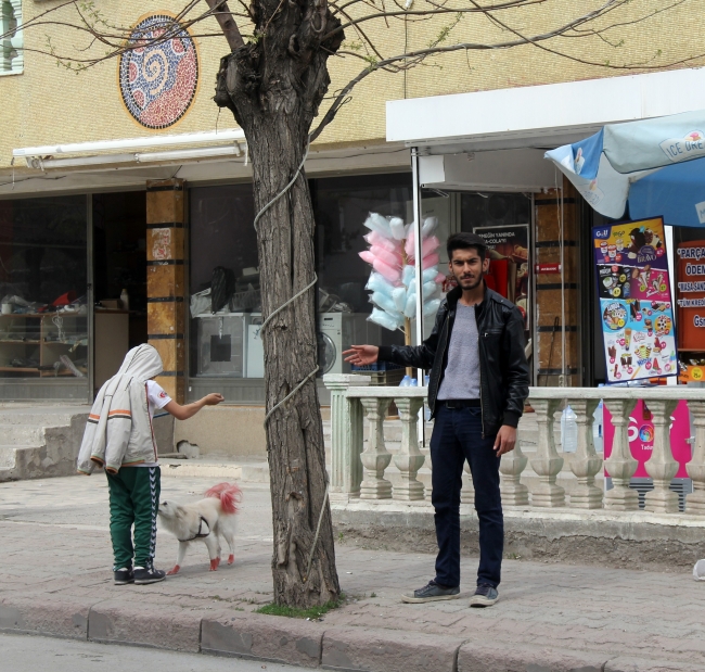 Kaldırımdaki ağaç 2 çocuğun hayatını kurtardı