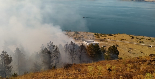Elazığ’da orman yangını
