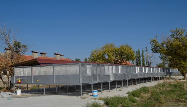 16 yılda 545 bin keklik doğaya salındı