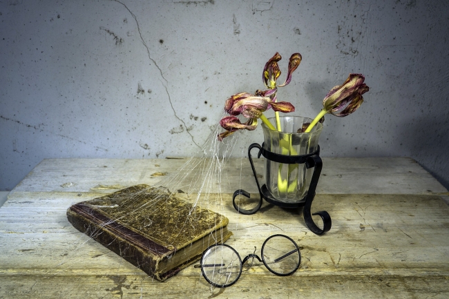 "En Güzel Lale" fotoğraf yarışmasının kazananları belli oldu