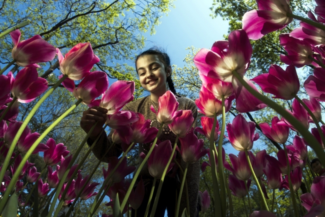 "En Güzel Lale" fotoğraf yarışmasının kazananları belli oldu