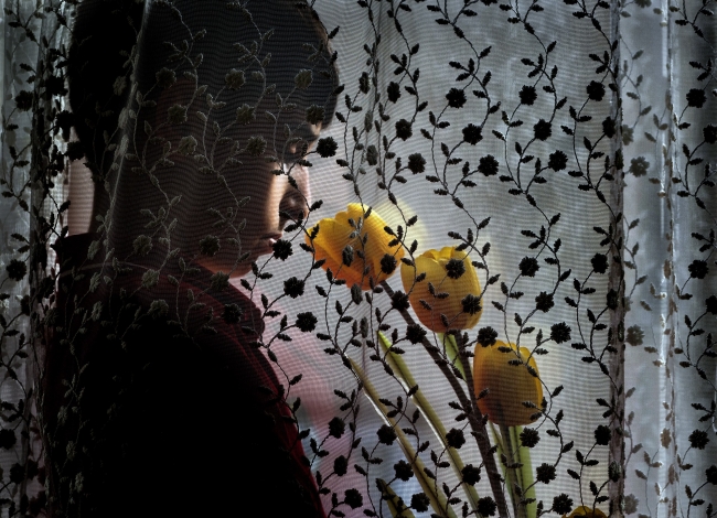 "En Güzel Lale" fotoğraf yarışmasının kazananları belli oldu