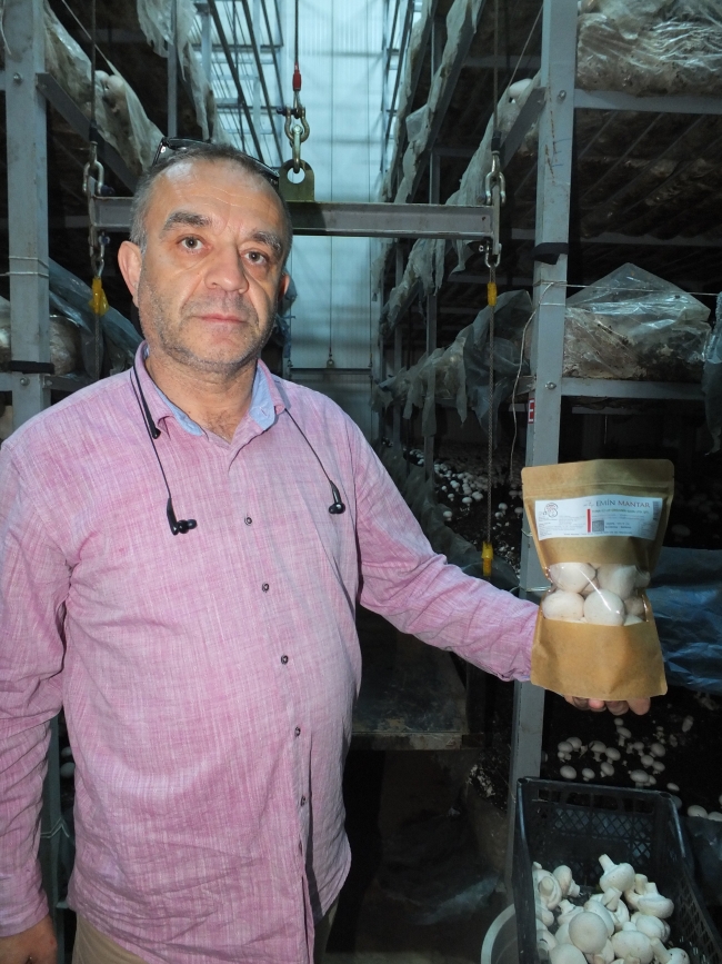 Soğuk hava deposunu mantarhaneye dönüştürdü